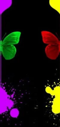 This live wallpaper features four differently colored butterflies set against a black backdrop