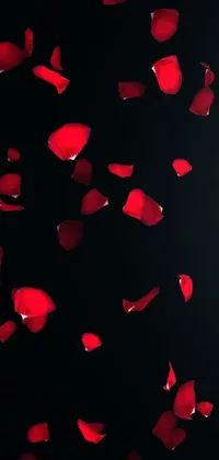 This black, 4k live wallpaper features a mesmerizing display of red rose petals floating gracefully in the air