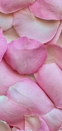 This phone live wallpaper features soft and elegant pink petals falling gently across the screen