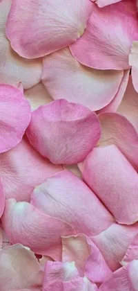 Red Petal Pink Live Wallpaper