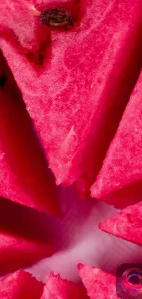 This stunning live phone wallpaper showcases a colorful and detailed close up of watermelon