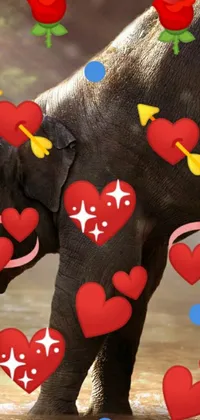 The phone live wallpaper features two delightful elephants who stand close to one another