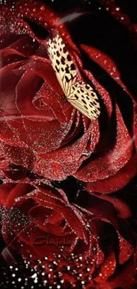 Red Petal Rose Live Wallpaper