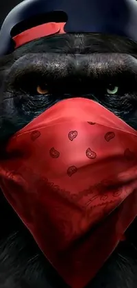 This phone live wallpaper features a highly detailed close-up of a monkey donning a red bandana and black bandana mask