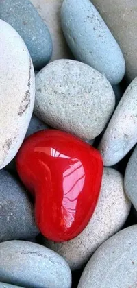 Looking for a stunning phone live wallpaper? Check out this remarkable image of a red heart on a pile of rocks
