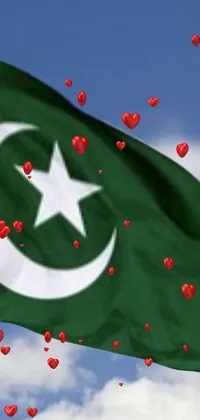 This phone live wallpaper features the flag of Pakistan flying high in the sky