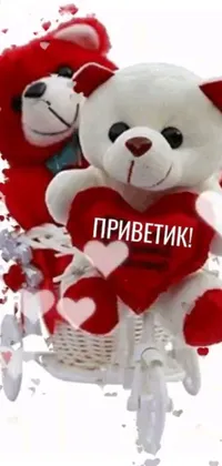 This live wallpaper showcases two teddy bears sitting together in a red and white color scheme