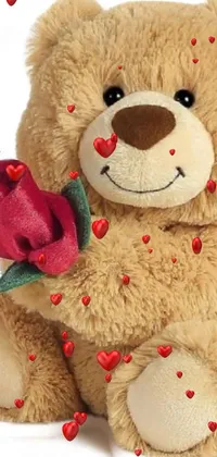 This phone live wallpaper features a charming brown teddy bear holding a red rose with a beautifull smile