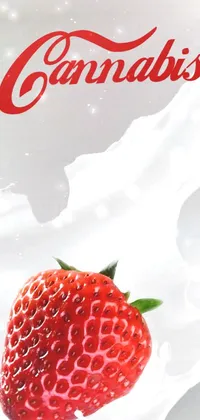 Red White Food Live Wallpaper