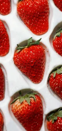 Red White Food Live Wallpaper