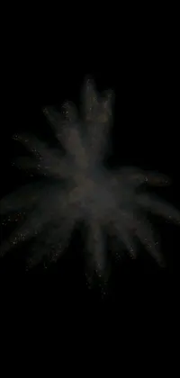 Reef Monochrome Fireworks Live Wallpaper
