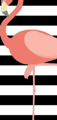 Get lost in the beauty of this stunning phone live wallpaper! Featuring a pink flamingo standing on a black and white striped background, this 2D image by artist Emma Ríos is a sight to behold