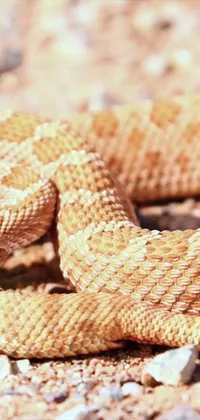 This phone live wallpaper features a lifelike digital rendering of a snake in the wild