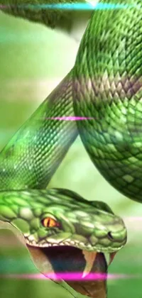 Reptile Green Terrestrial Animal Live Wallpaper