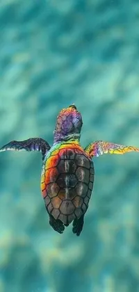 This stunning live wallpaper features a colorful and unique turtle 🚀🌈🤩 that appears to be flying through the sky