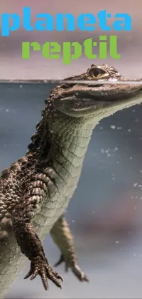 Reptile Jaw Extinction Live Wallpaper