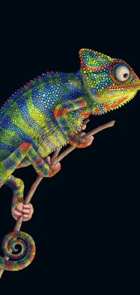 Reptile Lizard Iguania Live Wallpaper
