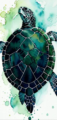 Reptile Organism Turtle Live Wallpaper
