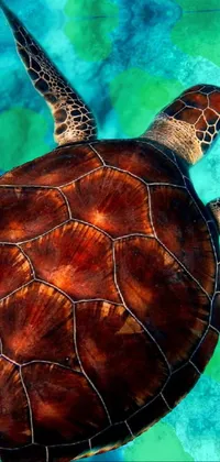 This phone live wallpaper features a realistic high polygon model of a turtle swimming in clear blue water