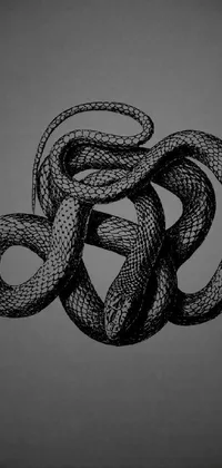 This live phone wallpaper showcases an intricate black and white engraved drawing of a snake