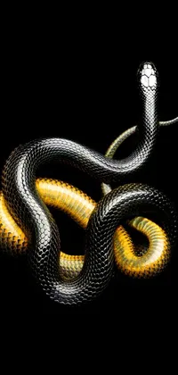 This live wallpaper features a striking close-up of a cobra on a black background