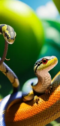 Reptile Snake Green Live Wallpaper