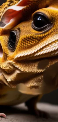 Reptile Snout Personal Protective Equipment Live Wallpaper