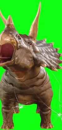 Rhinoceros Vertebrate Toy Live Wallpaper