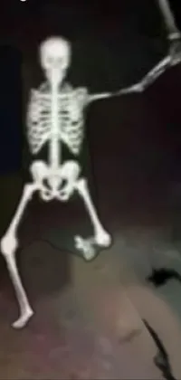 Rib Bone Skeleton Live Wallpaper