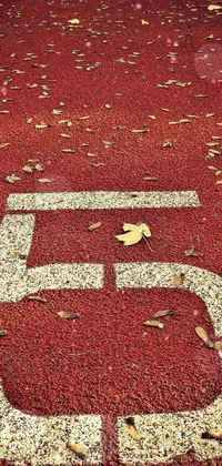 This live phone wallpaper showcases a stylized number five running on a red carpeted floor with fallen leaves in the background