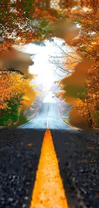 Road Surface Infrastructure Nature Live Wallpaper