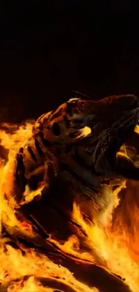 This dynamic phone live wallpaper features a vfx art of a tiger on fire with its mouth agape
