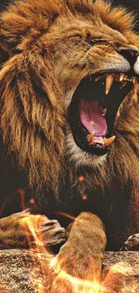 Roar Carnivore Brown Bear Live Wallpaper