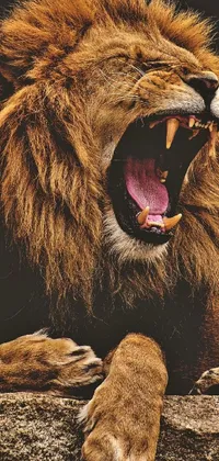 Roar Eye Jaw Live Wallpaper