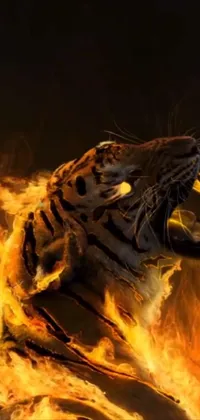 Looking for a fiery phone live wallpaper that's sure to impress? Check out this popular CG Society image featuring a fierce tiger that's completely engulfed in flames