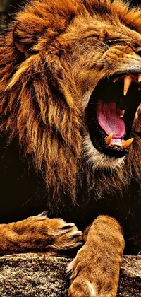 This phone live wallpaper showcases a close-up image of a powerful and majestic lion with its mouth wide open