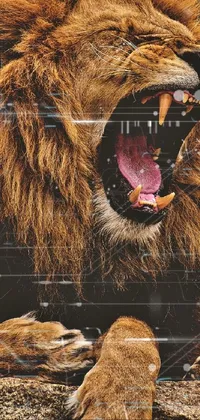 Roar Felidae Fang Live Wallpaper