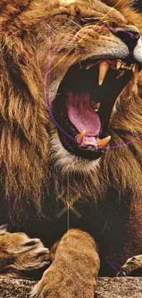This phone live wallpaper features a detailed close-up of a roaring lion, with its mouth open and a straw in its mouth, perfectly illustrated in the golden ratio style