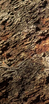 This phone live wallpaper showcases a stunning macro photograph of the bark of a tree