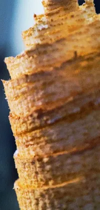 This intricately-designed phone live wallpaper features a close-up macro photograph of a delicious-looking piece of food, combined with a unique spiral design of a woodturning ice cream cone