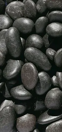Rock Pebble Pattern Live Wallpaper