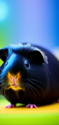 Rodent Guinea Pig Whiskers Live Wallpaper