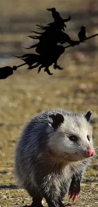Get enchanted with this stunning live wallpaper displaying an adorable small animal alongside a mysterious, wand-wielding creature atop a broomstick