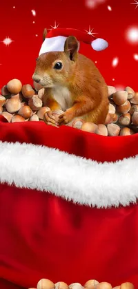 This live wallpaper for your phone displays a delightful scene with a squirrel seated in a bag bursting with nuts