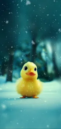 Rubber Ducky Bath Toy Liquid Live Wallpaper
