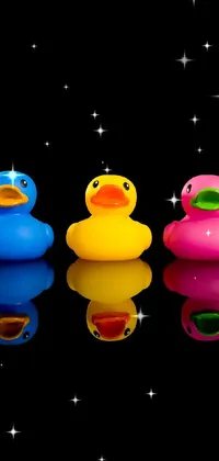 Rubber Ducky Vertebrate Bath Toy Live Wallpaper