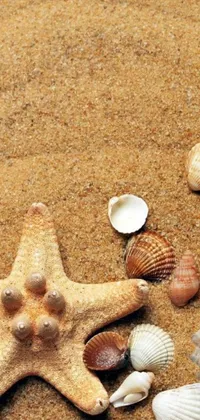 This phone live wallpaper features a serene starfish on a sandy beach adorned with pearls and shells