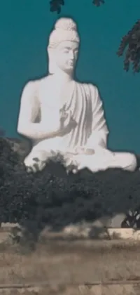 Sculpture Meditation Art Live Wallpaper