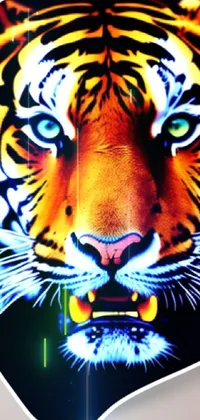 Siberian Tiger Bengal Tiger Facial Expression Live Wallpaper