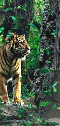 Siberian Tiger Bengal Tiger Green Live Wallpaper